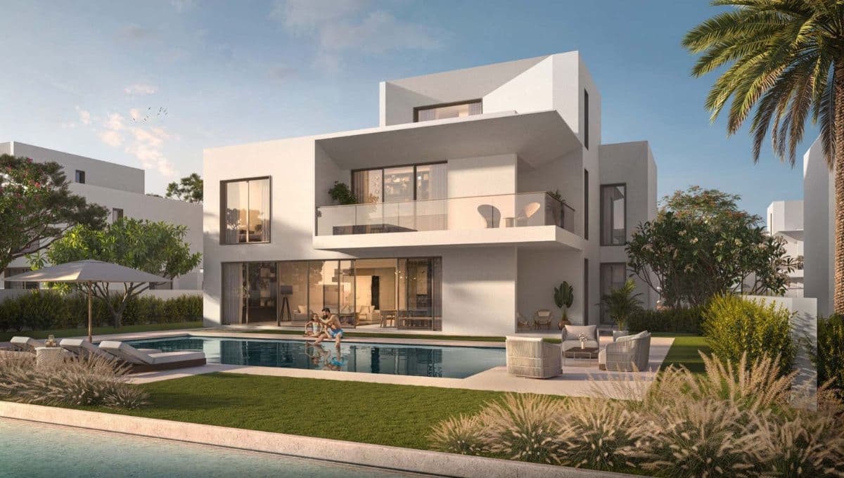 Palmiera 2
